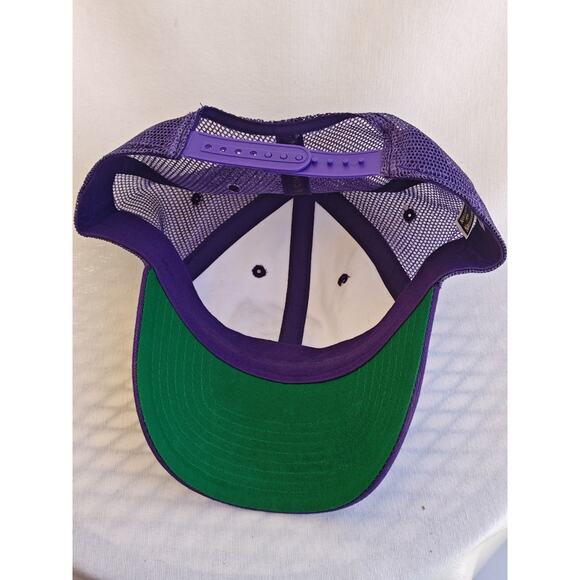 Tampa Bay Devil Rays Nike Club Hat Cap‎ Structured Adjustable Purple Hat MLB - Picture 8 of 9